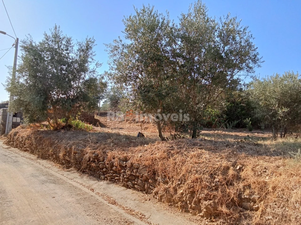 Terreno para Venda em Praia do Ribatejo Foto 7
