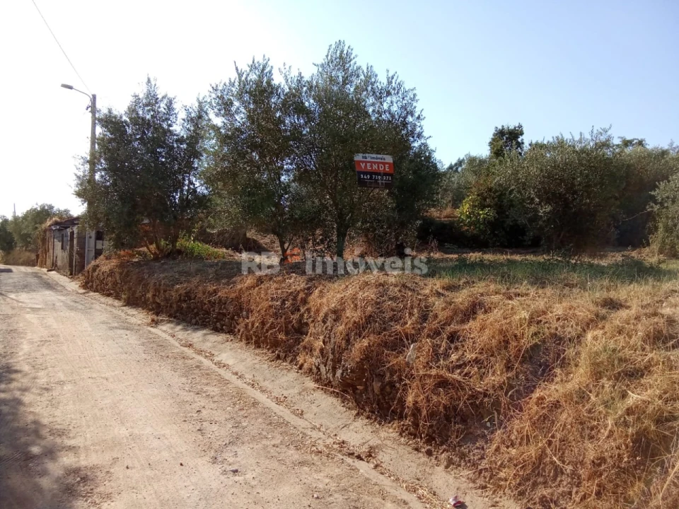 Terreno para Venda em Praia do Ribatejo Foto 9