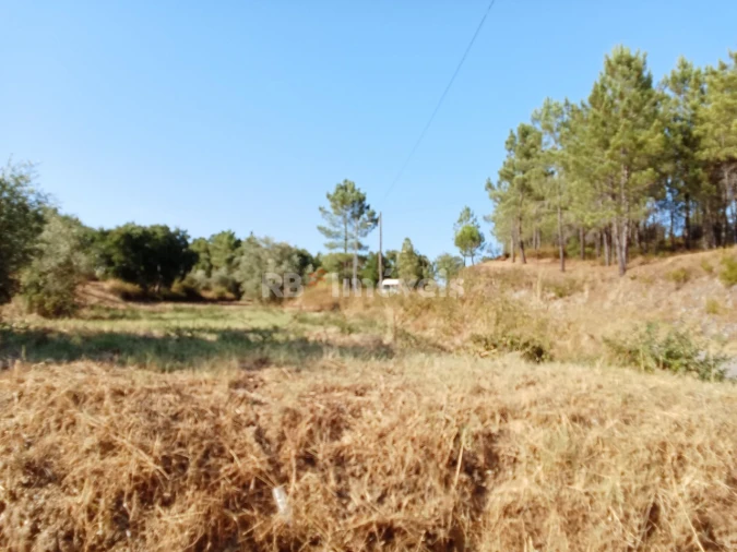 Terreno para Venda em Praia do Ribatejo Foto 6