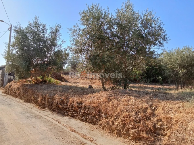 Terreno para Venda em Praia do Ribatejo Foto 7