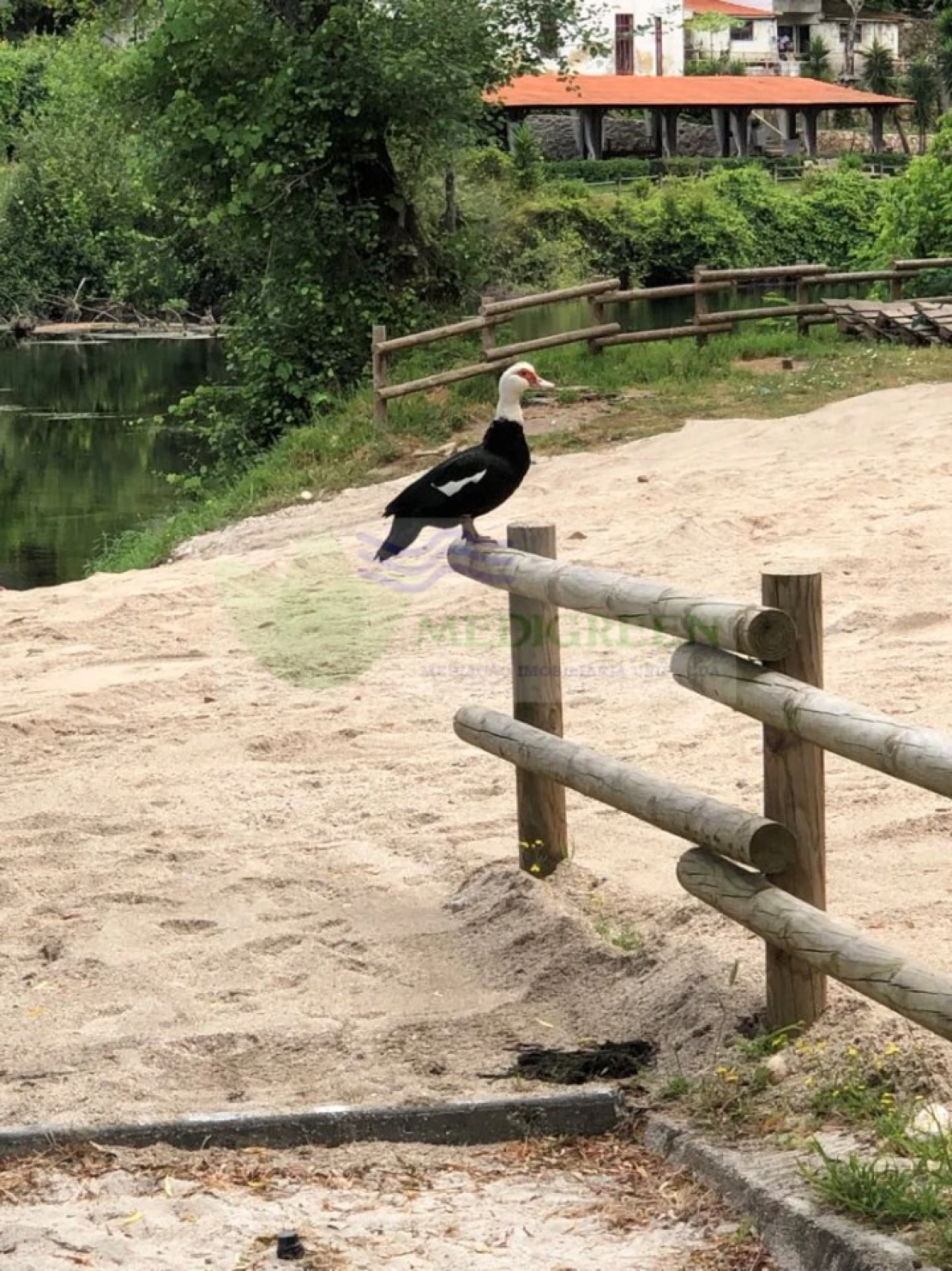 Terreno para Venda em Cedrim e Paradela Foto 6