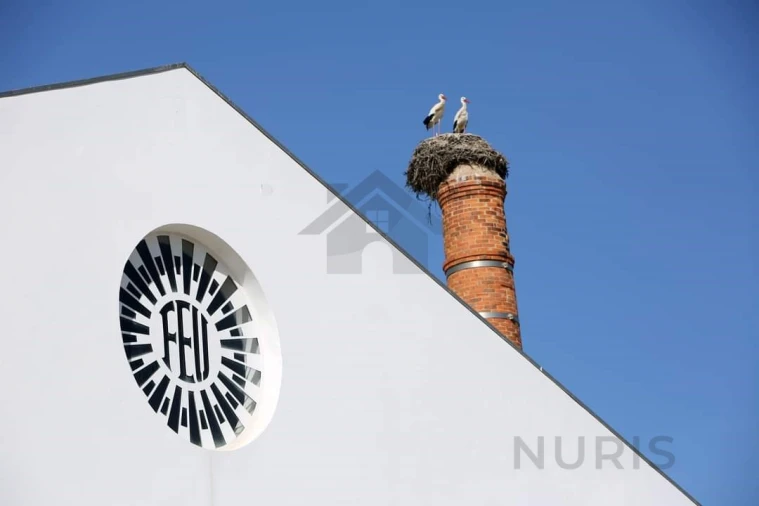 Negócio para Venda em Portimão Foto 14