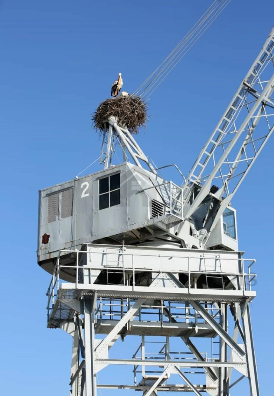 Negócio para Venda em Portimão Foto 15