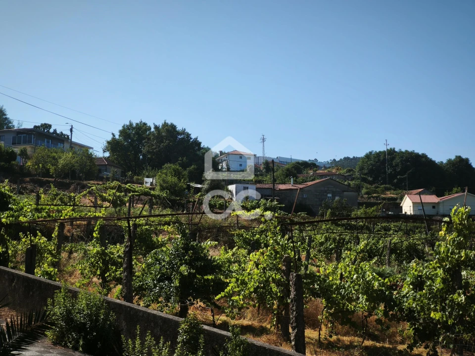 Terreno para Venda em Candoso (São Martinho) Foto 5