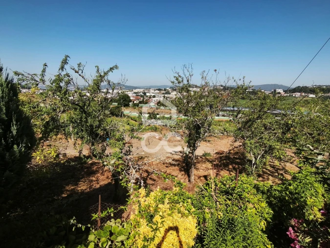 Terreno para Venda em Candoso (São Martinho) Foto 1
