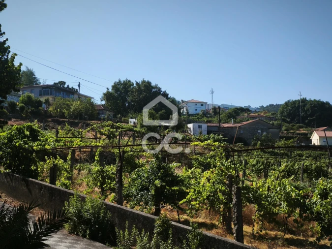 Terreno para Venda em Candoso (São Martinho) Foto 4