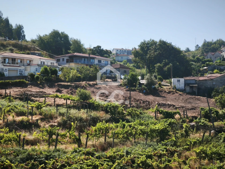 Terreno para Venda em Candoso (São Martinho) Foto 6