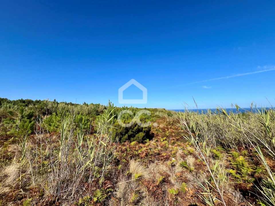 Terreno para Venda em Caldas da Rainha - Santo Onofre e Serra do Bouro Foto 18