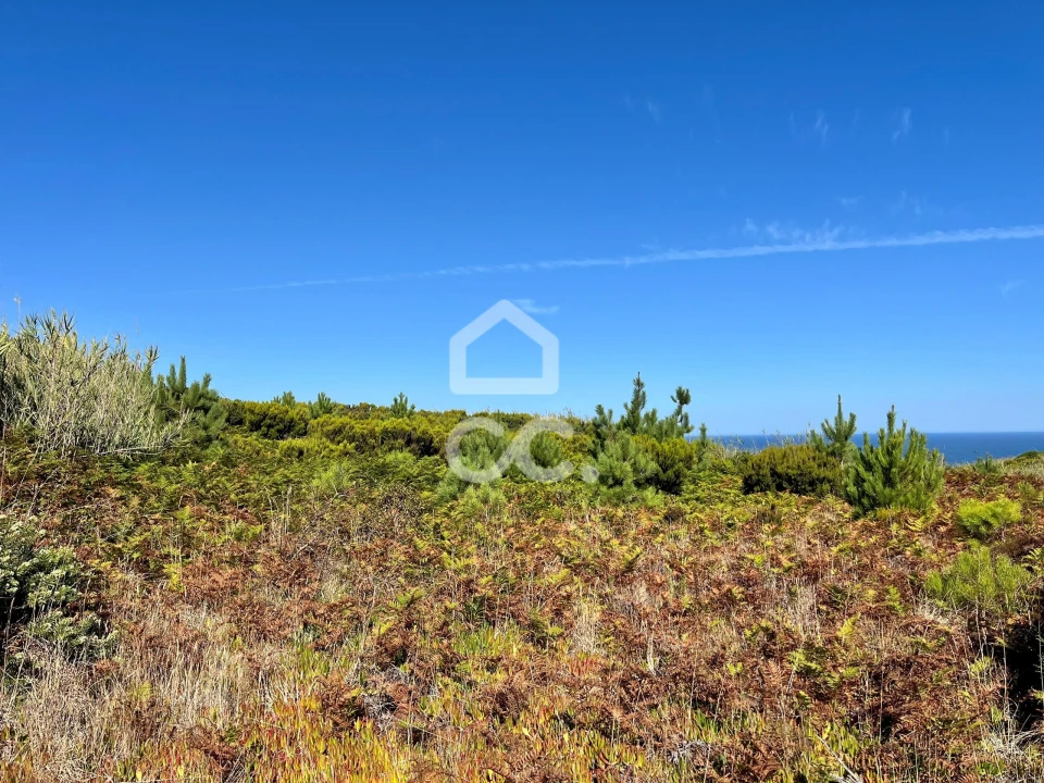Terreno para Venda em Caldas da Rainha - Santo Onofre e Serra do Bouro Foto 20