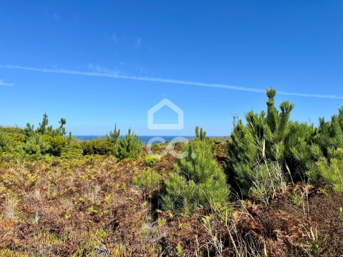 Terreno para Venda em Caldas da Rainha - Santo Onofre e Serra do Bouro Foto 14