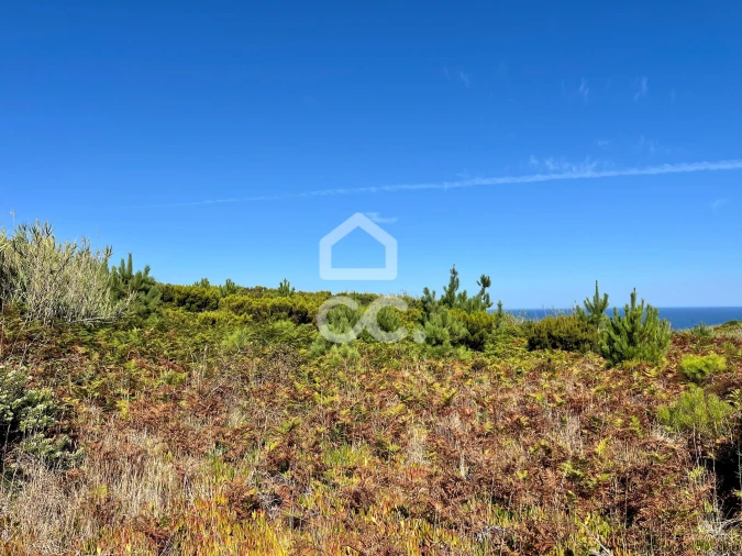 Terreno para Venda em Caldas da Rainha - Santo Onofre e Serra do Bouro Foto 20