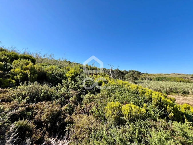 Terreno para Venda em Caldas da Rainha - Santo Onofre e Serra do Bouro Foto 6