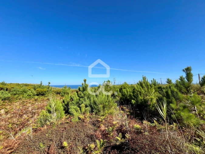 Terreno para Venda em Caldas da Rainha - Santo Onofre e Serra do Bouro Foto 16