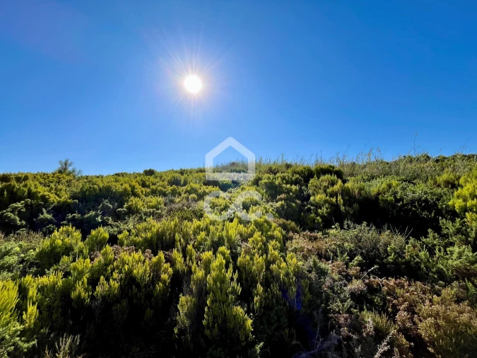 Terreno para Venda em Caldas da Rainha - Santo Onofre e Serra do Bouro Foto 8