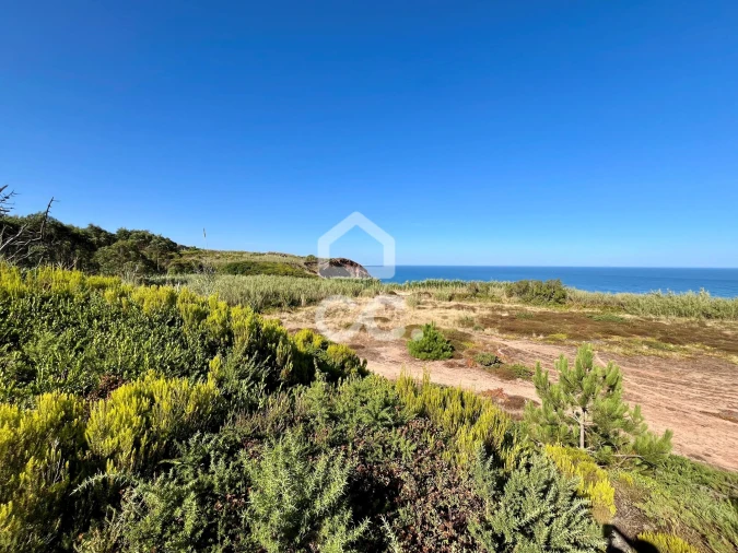 Terreno para Venda em Caldas da Rainha - Santo Onofre e Serra do Bouro Foto 2