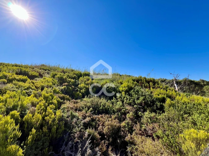 Terreno para Venda em Caldas da Rainha - Santo Onofre e Serra do Bouro Foto 7
