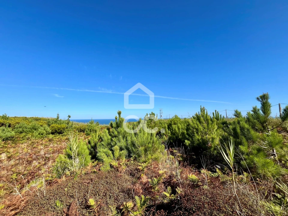 Terreno para Venda em Caldas da Rainha - Santo Onofre e Serra do Bouro Foto 16