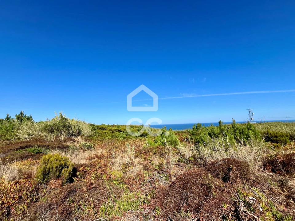 Terreno para Venda em Caldas da Rainha - Santo Onofre e Serra do Bouro Foto 13