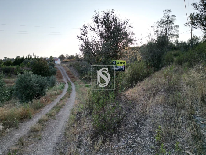 Terreno para Venda em Montargil Foto 2