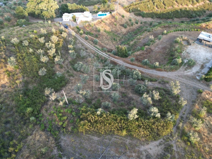 Terreno para Venda em Montargil Foto 3