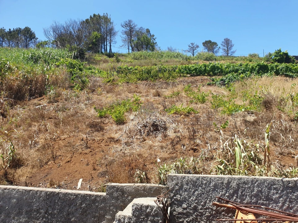 Armazém para Venda em Fajã da Ovelha Foto 21