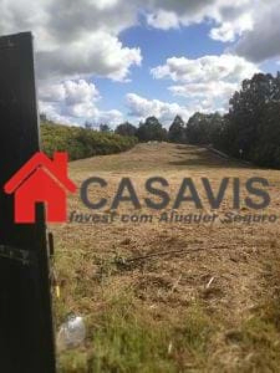 Terreno para Arrendamento em Abraveses Foto 2