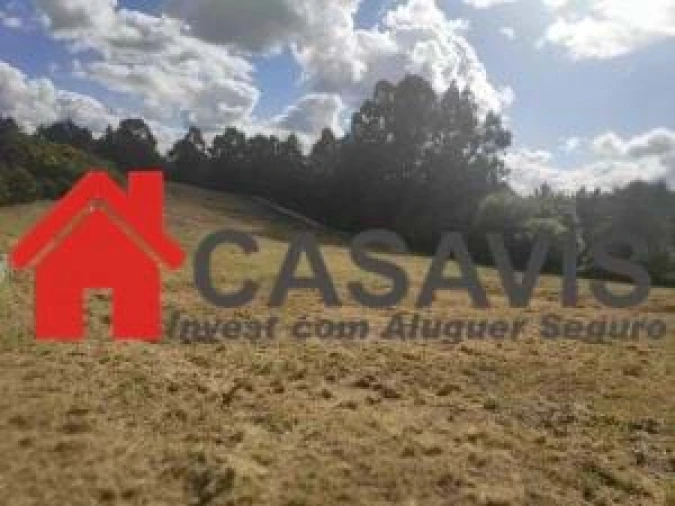 Terreno para Arrendamento em Abraveses Foto 5