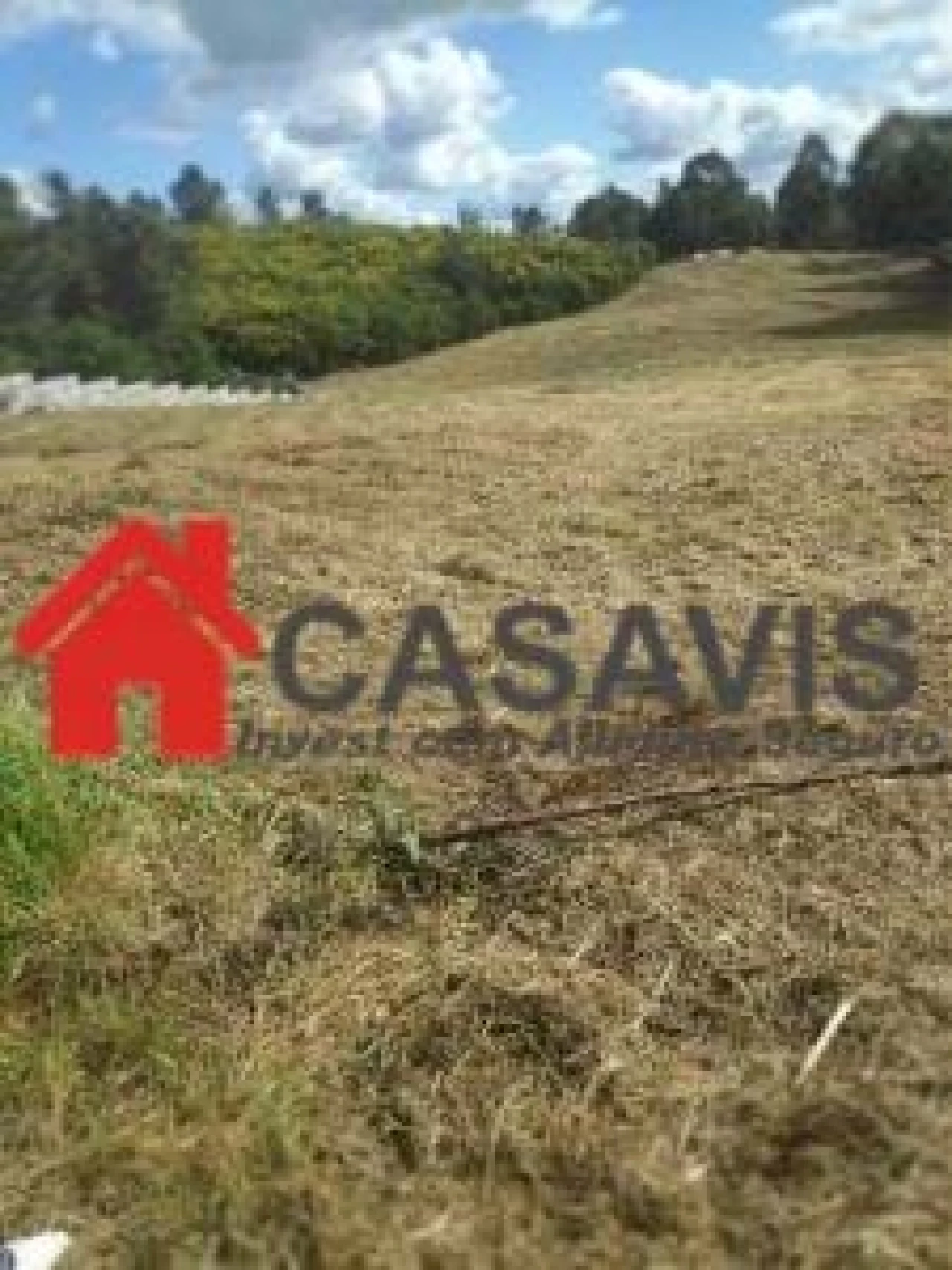 Terreno para Arrendamento em Abraveses Foto 3