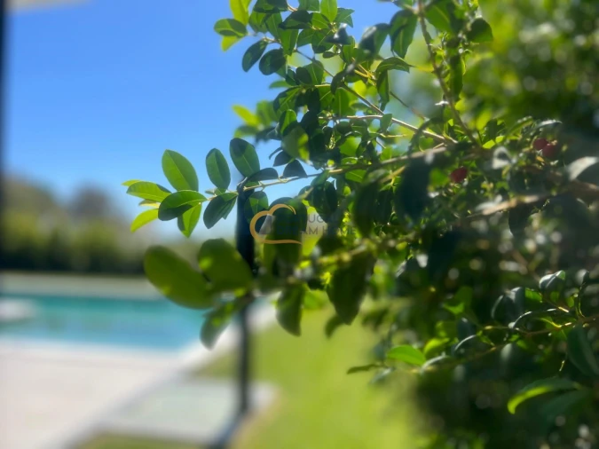 Moradia T4 para Venda em Albufeira e Olhos de Água Foto 17