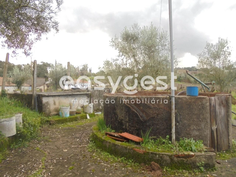 Moradia T3 para Venda em Nossa Senhora do Pranto Foto 24