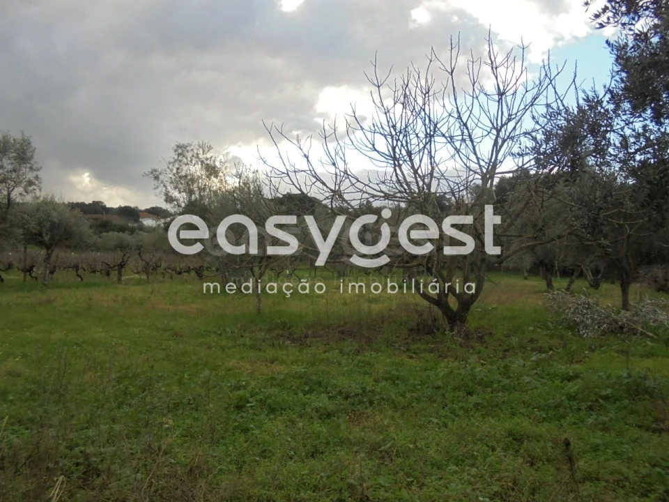 Moradia T3 para Venda em Nossa Senhora do Pranto Foto 28