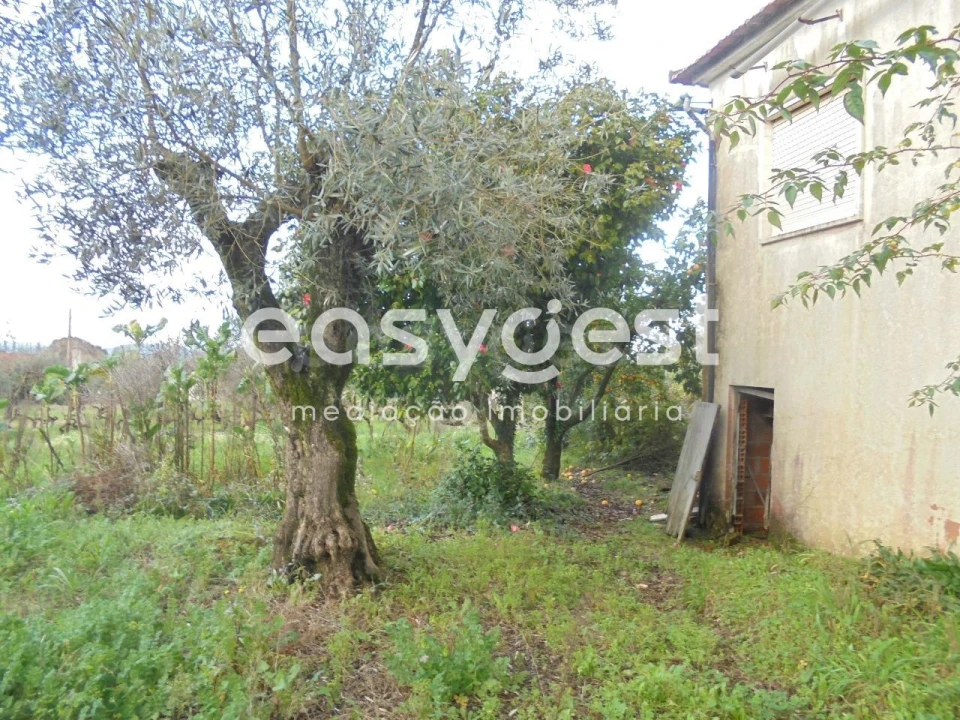 Moradia T3 para Venda em Nossa Senhora do Pranto Foto 30