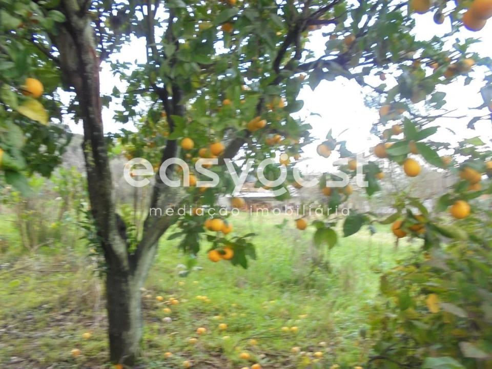 Moradia T3 para Venda em Nossa Senhora do Pranto Foto 31