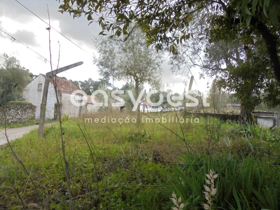 Moradia T3 para Venda em Nossa Senhora do Pranto Foto 32