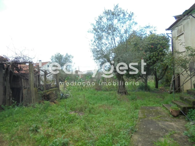 Moradia T3 para Venda em Nossa Senhora do Pranto Foto 27