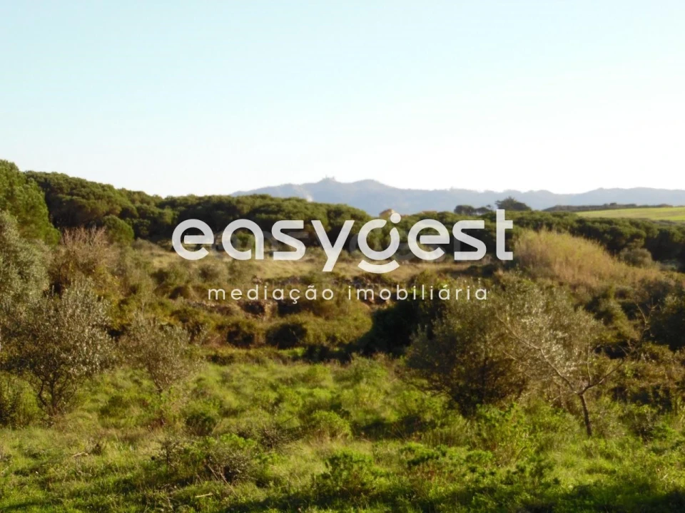 Terreno Agricola ou Rústico para Venda em São João das Lampas e Terrugem Foto 1