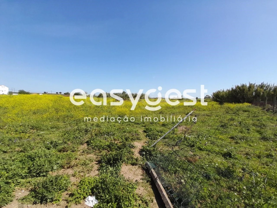 Terreno Agricola ou Rústico para Venda em Beja (Salvador e Santa Maria da Feira) Foto 3