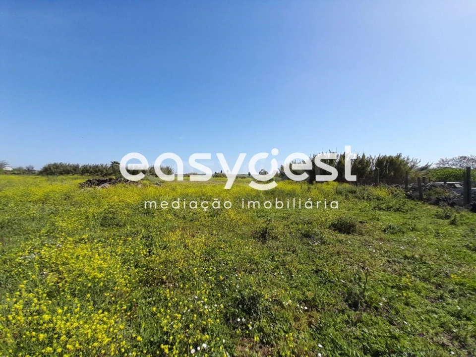 Terreno Agricola ou Rústico para Venda em Beja (Salvador e Santa Maria da Feira) Foto 4