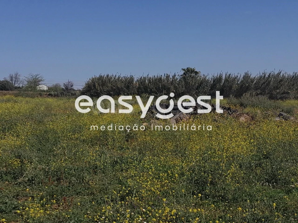 Terreno Agricola ou Rústico para Venda em Beja (Salvador e Santa Maria da Feira) Foto 6