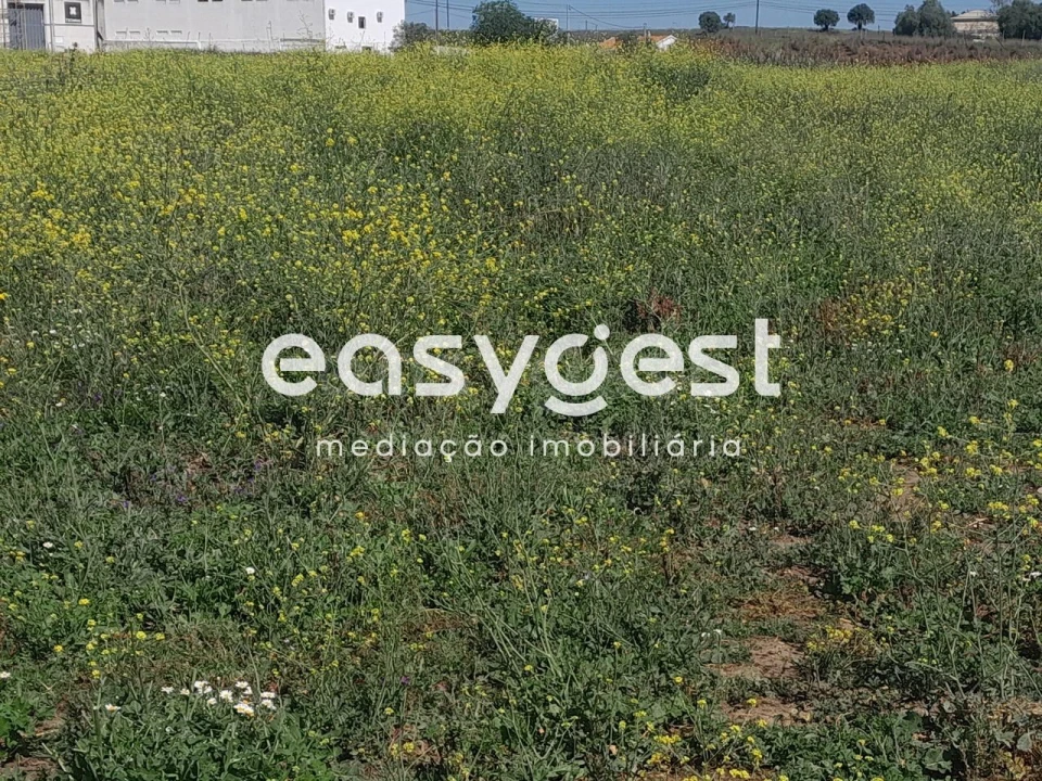 Terreno Agricola ou Rústico para Venda em Beja (Salvador e Santa Maria da Feira) Foto 7