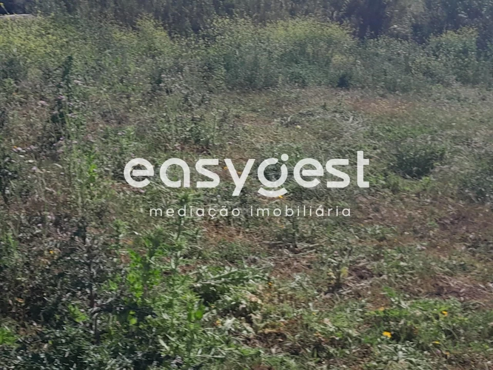 Terreno Agricola ou Rústico para Venda em Beja (Salvador e Santa Maria da Feira) Foto 11