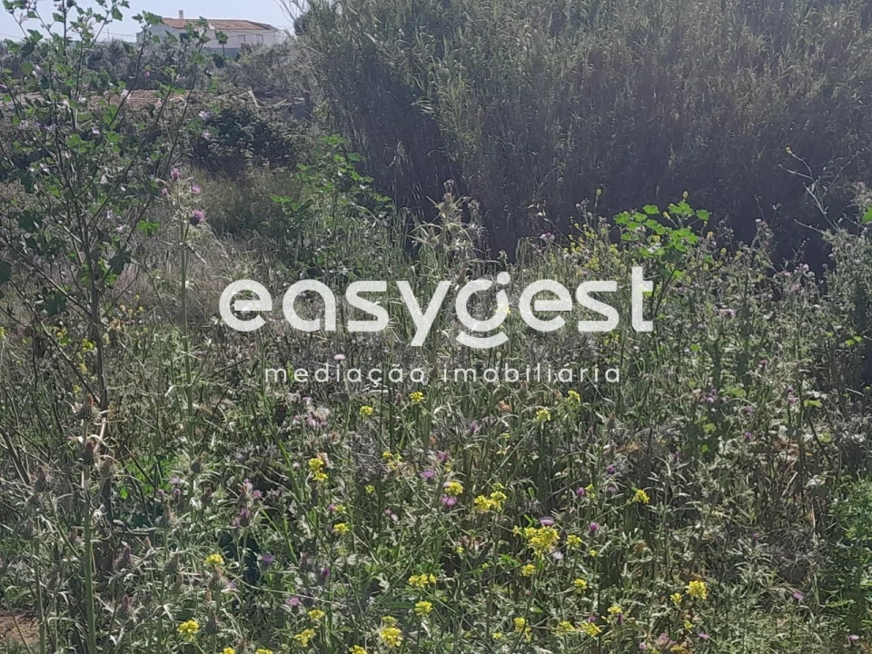 Terreno Agricola ou Rústico para Venda em Beja (Salvador e Santa Maria da Feira) Foto 14