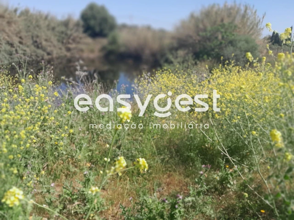Terreno Agricola ou Rústico para Venda em Beja (Salvador e Santa Maria da Feira) Foto 16