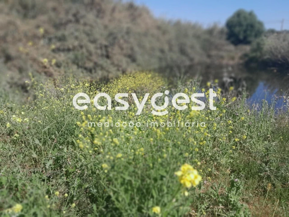 Terreno Agricola ou Rústico para Venda em Beja (Salvador e Santa Maria da Feira) Foto 17