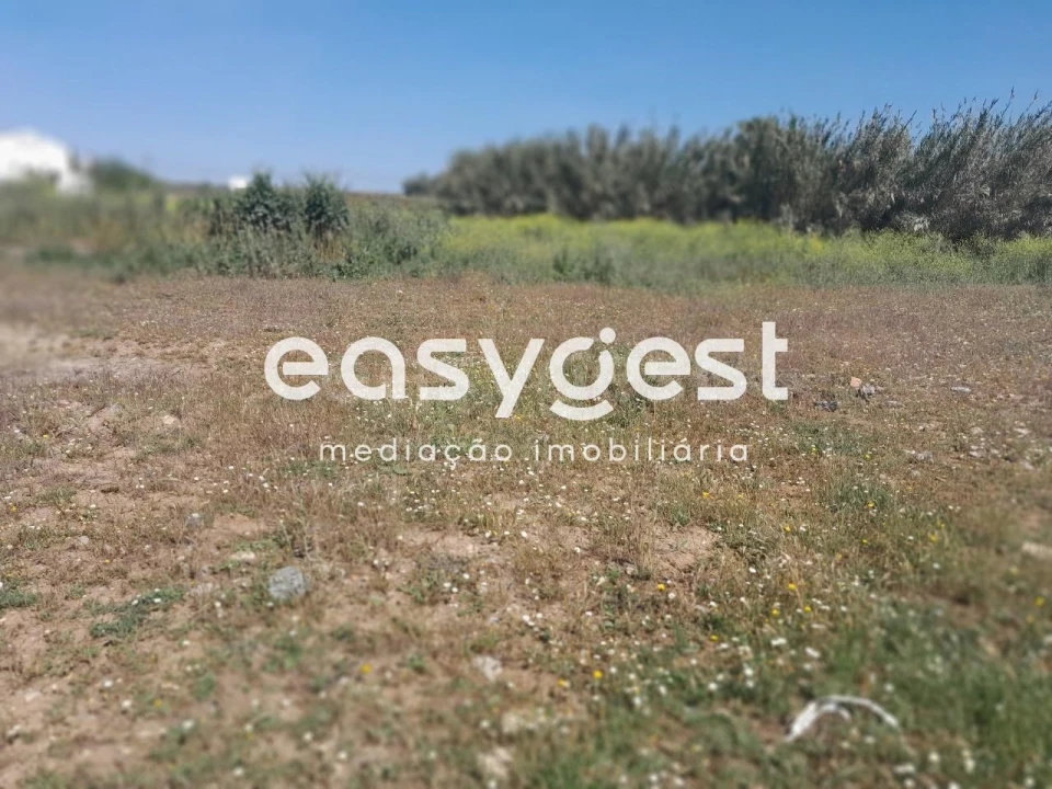 Terreno Agricola ou Rústico para Venda em Beja (Salvador e Santa Maria da Feira) Foto 21