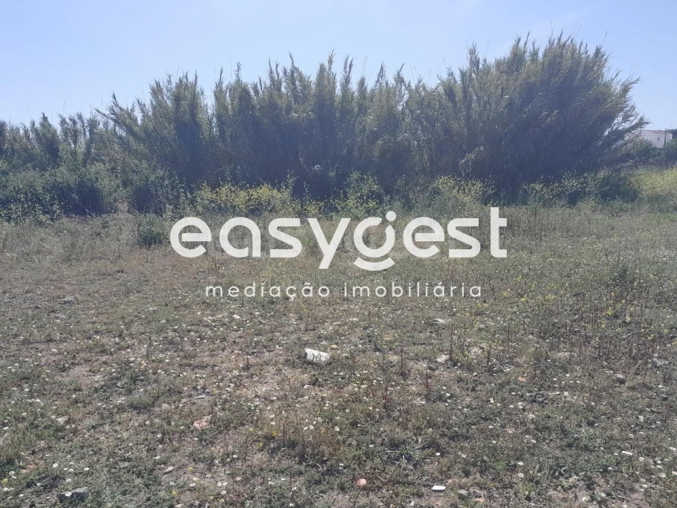 Terreno Agricola ou Rústico para Venda em Beja (Salvador e Santa Maria da Feira) Foto 22