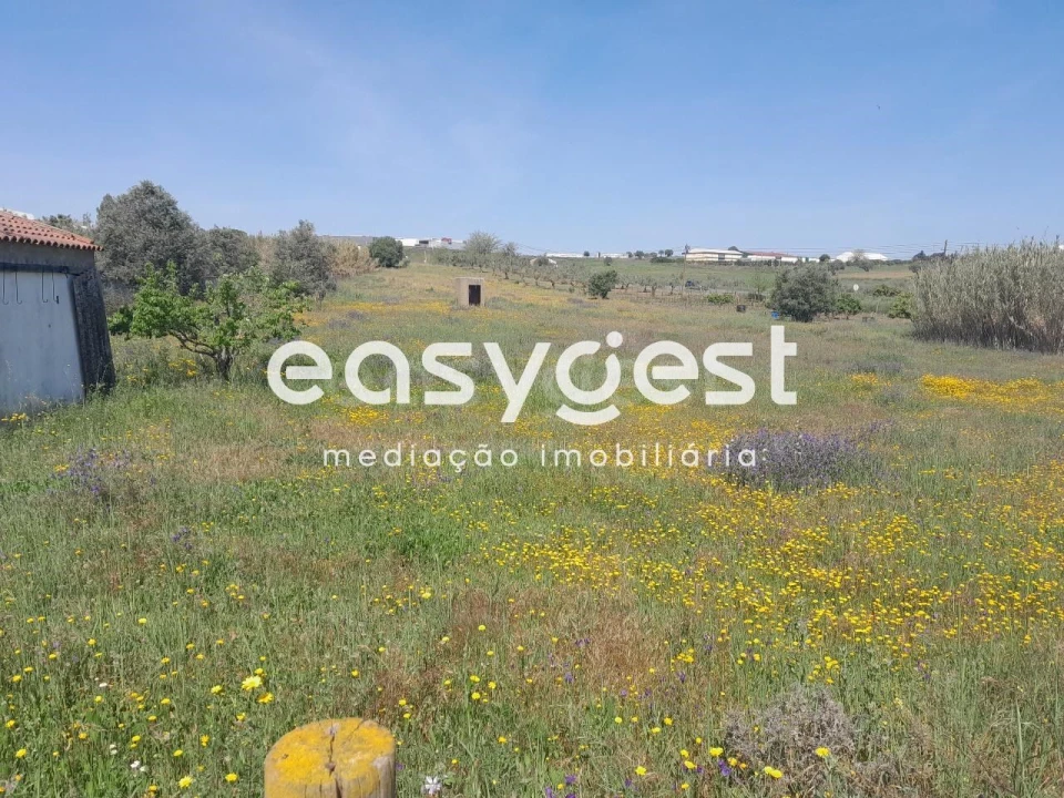 Terreno Agricola ou Rústico para Venda em Beja (Salvador e Santa Maria da Feira) Foto 25