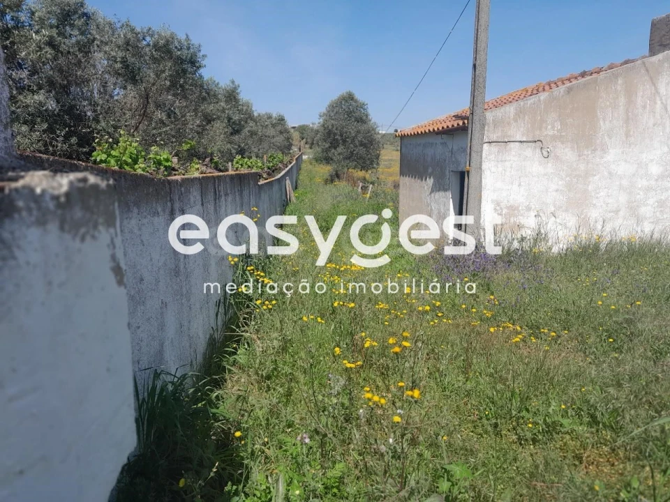 Terreno Agricola ou Rústico para Venda em Beja (Salvador e Santa Maria da Feira) Foto 29