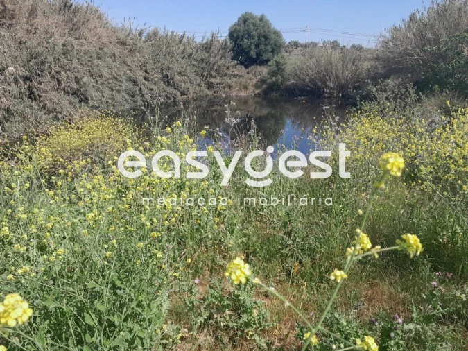 Terreno Agricola ou Rústico para Venda em Beja (Salvador e Santa Maria da Feira)