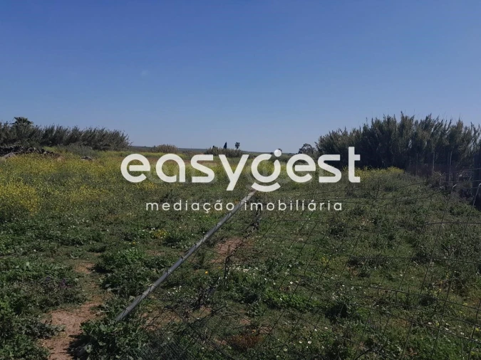 Terreno Agricola ou Rústico para Venda em Beja (Salvador e Santa Maria da Feira) Foto 2